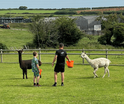 Foster Llanelli, Brynteg Farm,